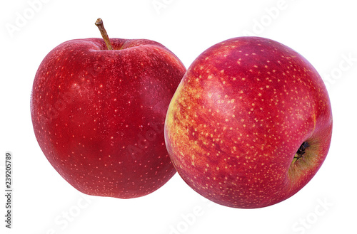 Apple on a white background