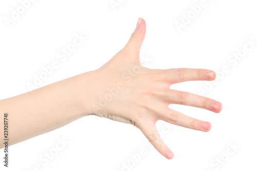 Woman hand isolated on white background showing five.