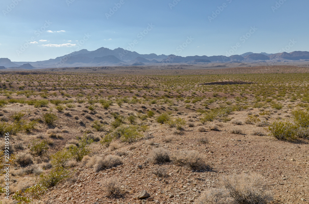 desert around Las Vegas in Lake Mead National Recreation area Clark county, Nevada