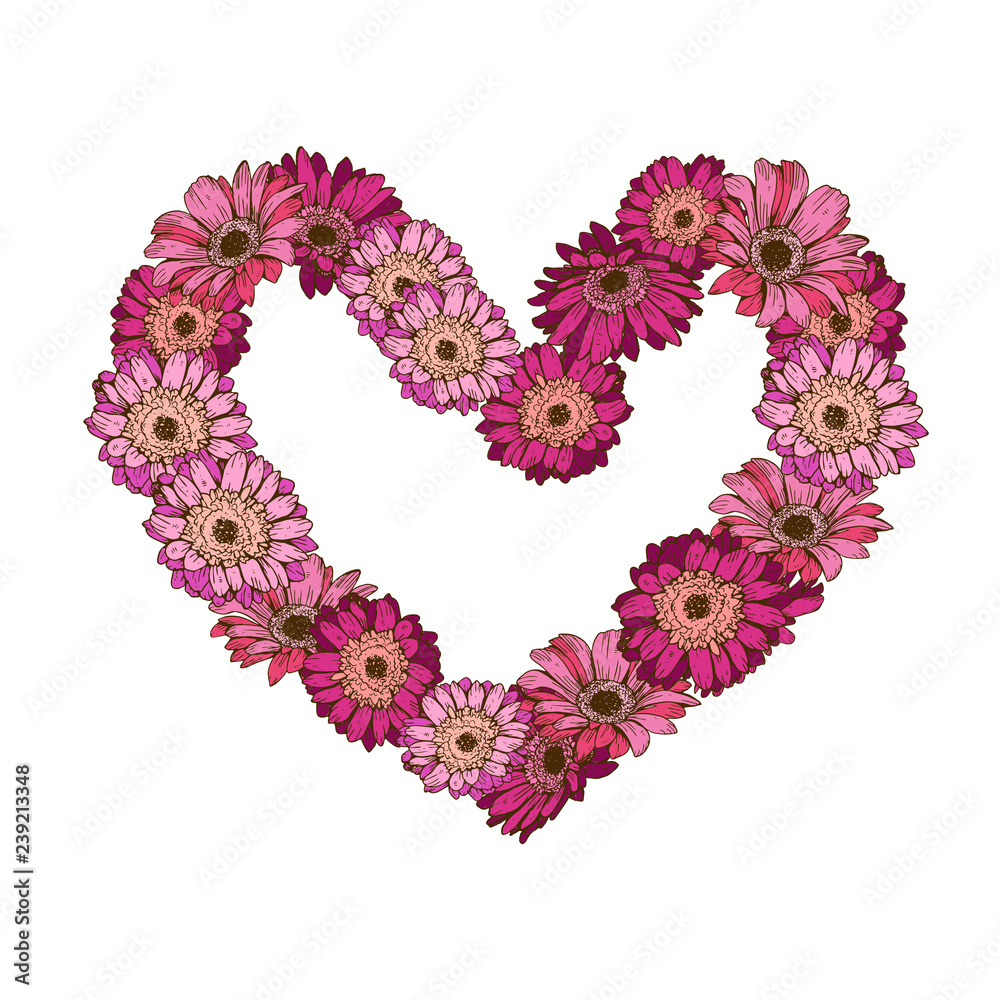 Heart of daisy flowers isolated on white background. Romantic flower collection. Vector Illustration for Happy Valentines Day Design.