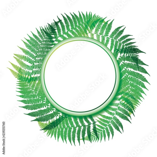 Invite card. Design with green fern leaves. Round frame. Vector garden botanical illustration.