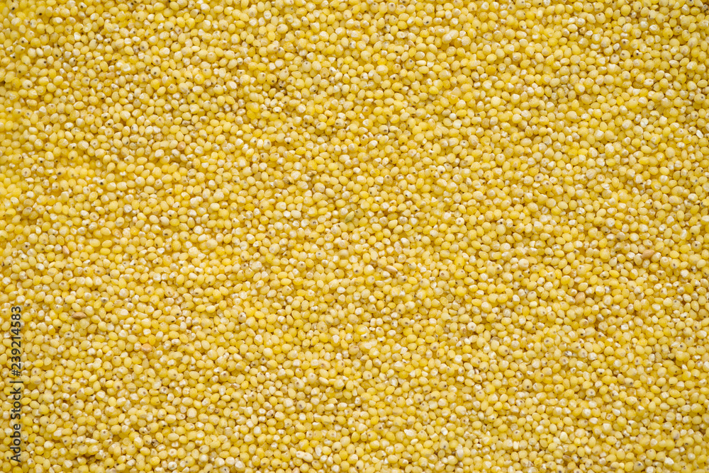 Dry millet groats in top view, abstract background