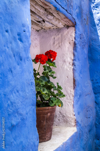 Pot with geranium flower in a wall niche