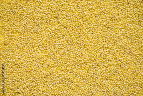 Dry millet groats in top view  abstract background