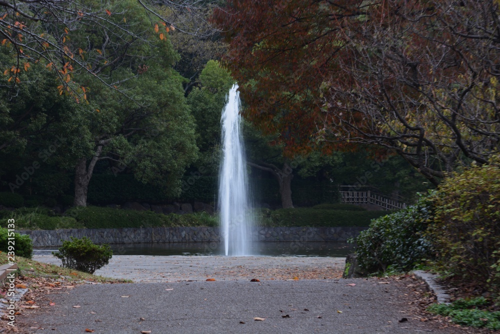 Fountain in the park / background texture