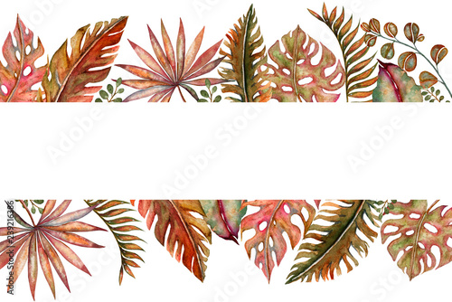 Watercolor set of vintage floral tropical natural elements. Exotic flowers, twigs and leaves. Botanical bright classic collection isolated on white background.