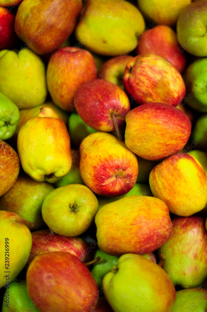 Manzana Campestre Manzana Campestre