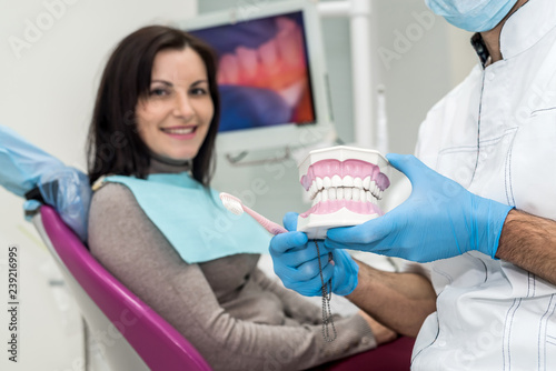 Dentist holding model of jaw in hands closeup