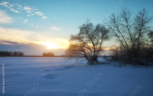 Beautiful winter landscape with frozen lake, trees and sunset sky © es0lex