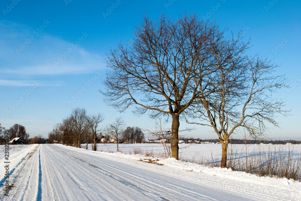 Obraz premium Winter Road in Lithuania