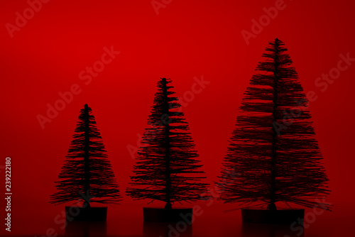 Three slihouette pine trees. photo