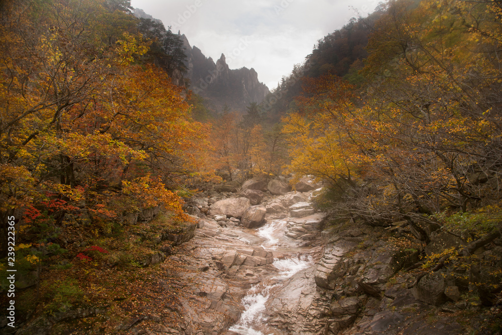AUTUMN IN SEORAKSAN SOUTH KOREA AUTUMN IN SEORAKSAN SOUTH KOREA