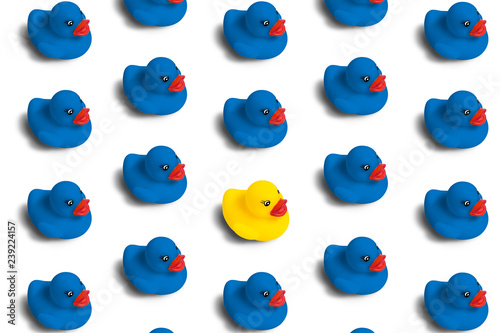 Fotografia Group of blue toy ducks and only one desired duck on a white background