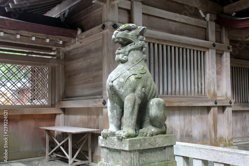 弥彦神社の狛犬（新潟県）