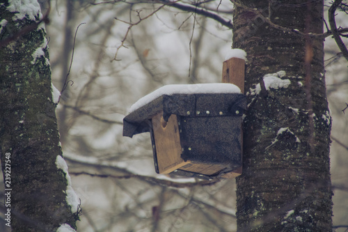 Saarland im Winter - Nistkasten für Vögel