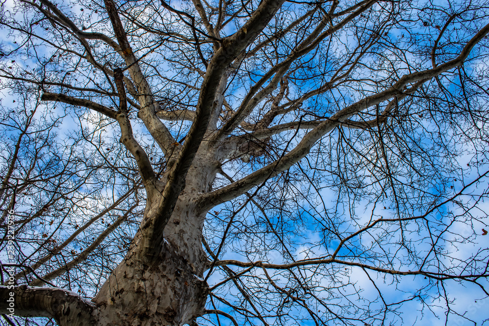 blue sky