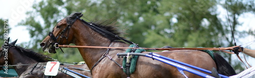 horse race backgrounds - Pferderennen