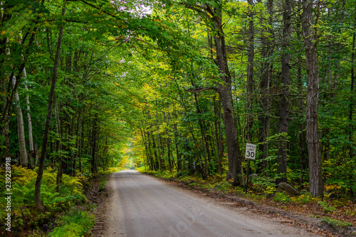 Quiet Road - Landscape