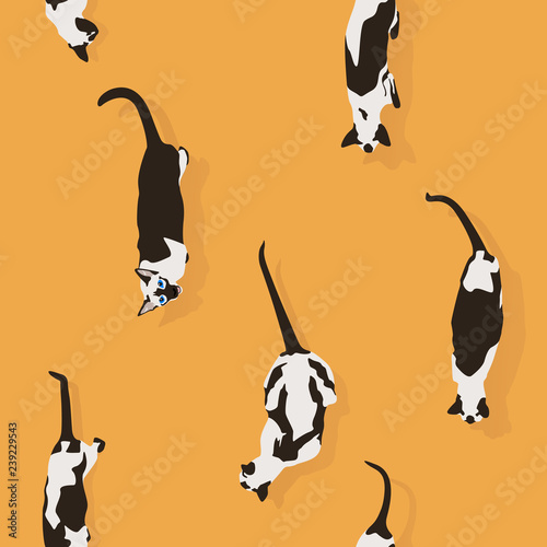 Siamese Cat Pattern Orange Background