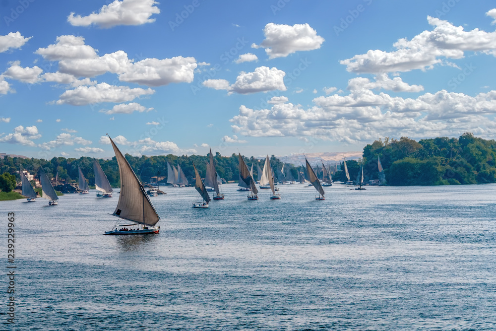 Feluccas sailing along the Nile River at Aswan - Egypt