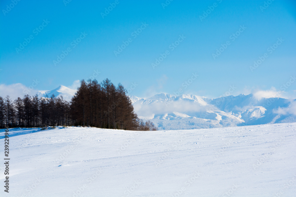 雪山の山頂と青空　十勝岳連峰