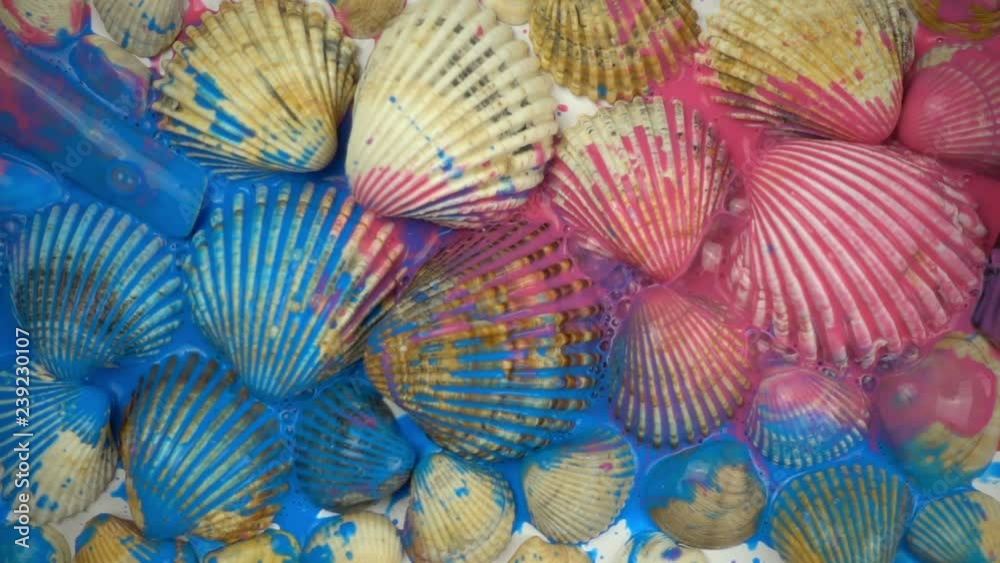 Falling paints on seashells in slow motion Falling paints on seashells in slow motion