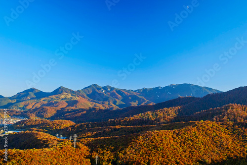 Mountains covered with orange trees bird s eye view 2