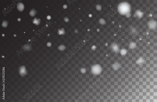 Winter Snowfall Ice Texture Vector Transparent Background. Realistic Snow Confetti Falling Down, Isolated Snowflake Scatter. Random Moving Realistic Snow Confetti, Christmas New Year Frost Decoration.