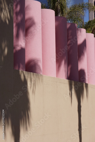 Shadows of the palm trees on architecture