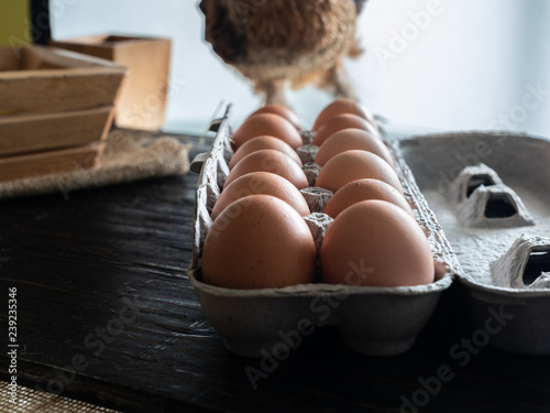 Dozen eggs in carton