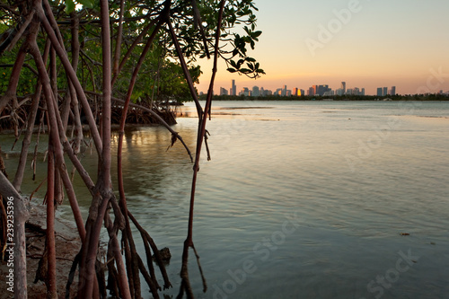 фотографія Sunset at Miami behind mangrove forest and Biscayne Bay, Florida