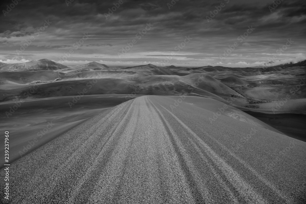 Fototapeta premium Lines in the Sand