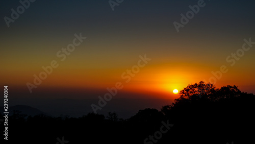 Sunset and tree silhouettes in Pico das Flores  Extrema  Brazil