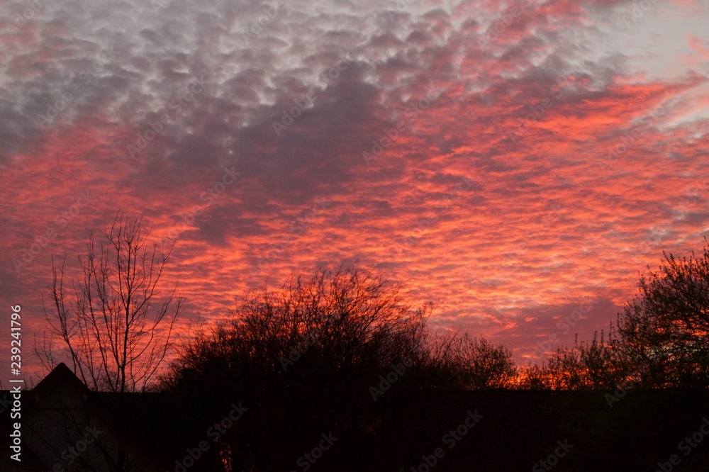 Fototapeta premium Sunset Happiness