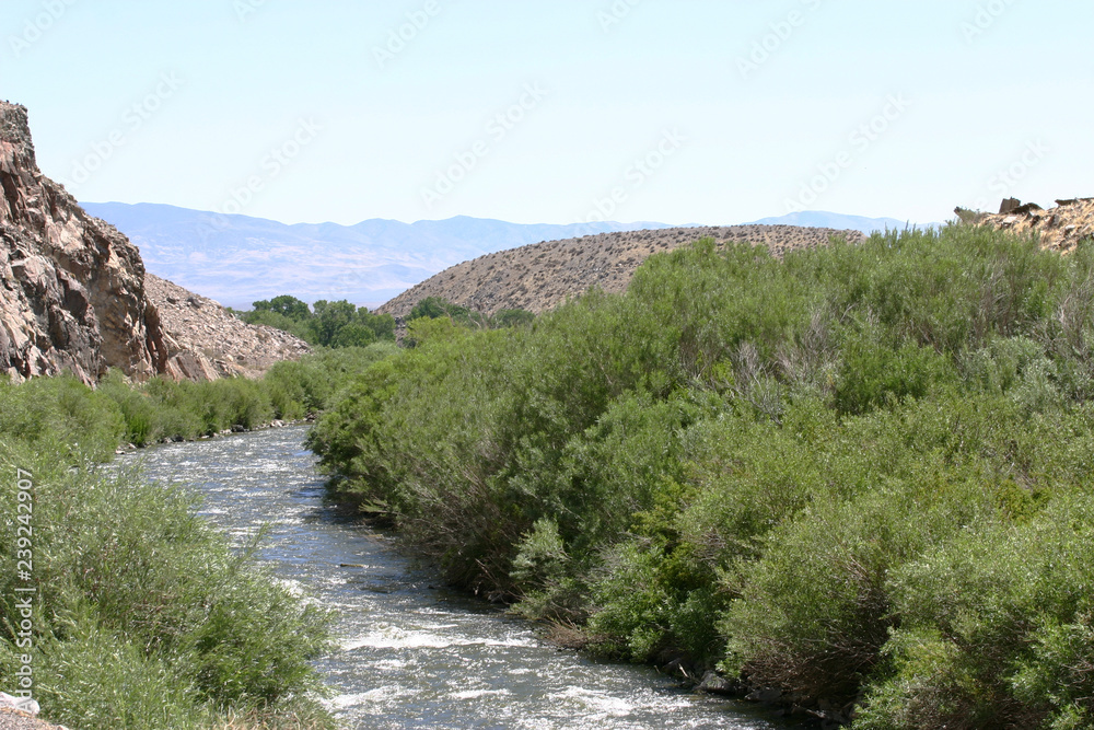 Fototapeta premium Lifegiving River Runs Through a Desert Landscape