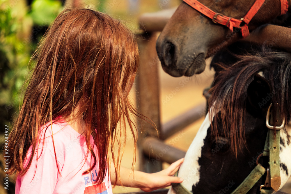 Obraz Śliczna biała dziewczyna dotyka dużego brązowego silnego konia na farmie