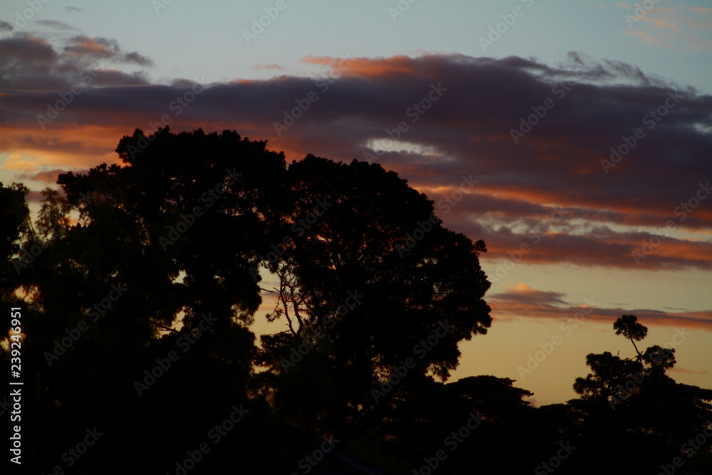 orange, sunrise, orange, sunrise,