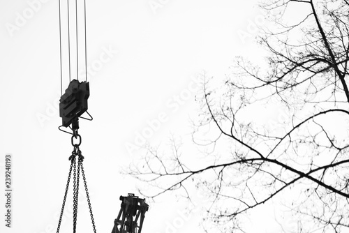 Monochrome crane with cargo chains and branches. photo