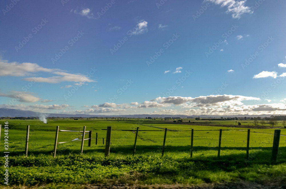 Beautiful farm on the countryside of New Zealand.