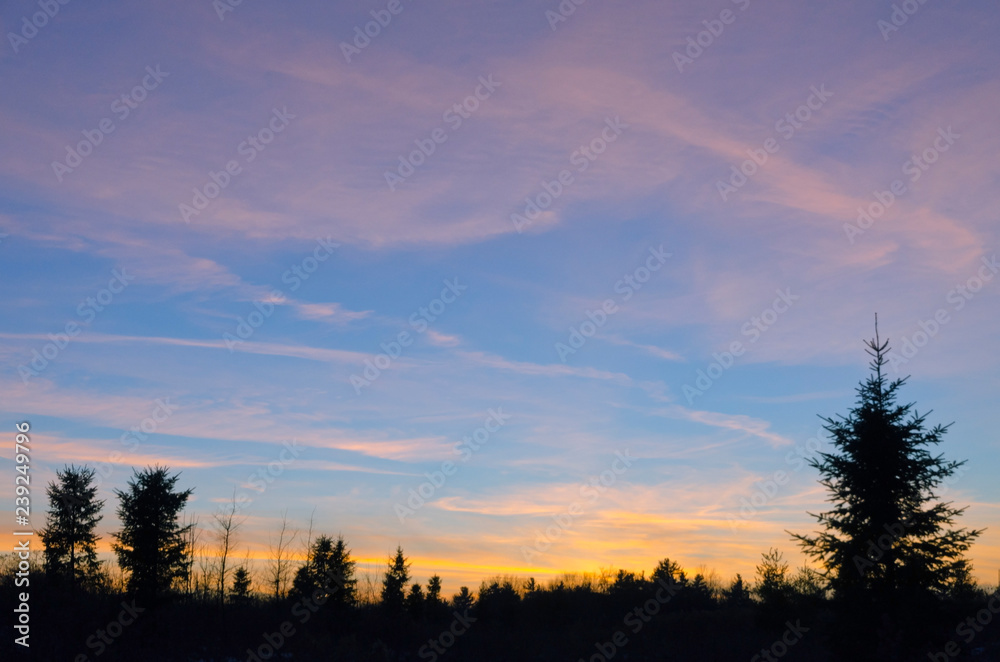 Obraz premium red and orange clouds