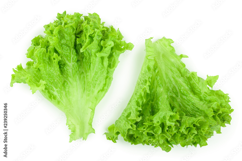 Lettuce leaf isolated on white background close up Lettuce leaf isolated on white background close up