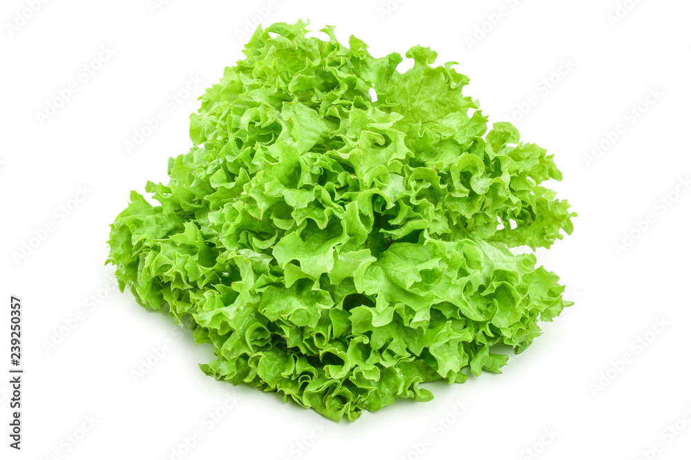 Lettuce leaf isolated on white background close up Lettuce leaf isolated on white background close up