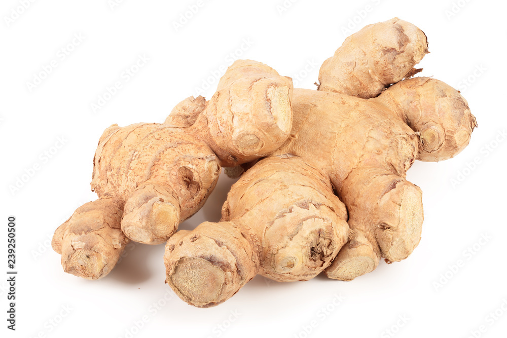 fresh Ginger root isolated on white background