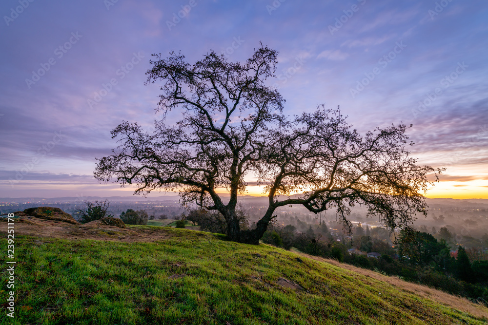 Dinosaur Hill Park at Dawn 