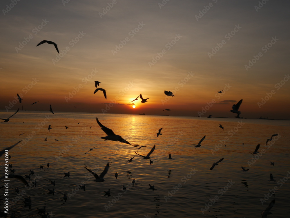Fototapeta premium Wonderful picturesque places , many seagulls and good view at Bangpu Recreation Center ,Samut Prakan THAILAND.
