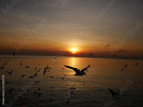Wallpaper Mural Wonderful picturesque places , many seagulls and good view at Bangpu Recreation Center ,Samut Prakan THAILAND. Torontodigital.ca