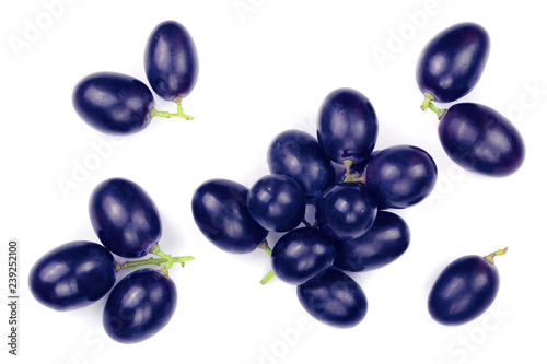 blue grapes isolated on the white background. Top view. Flat lay pattern
