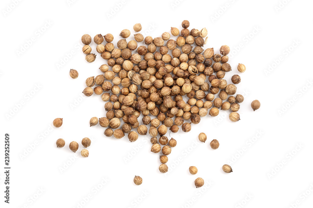 Coriander seeds isolated on white background top view Coriander seeds isolated on white background top view
