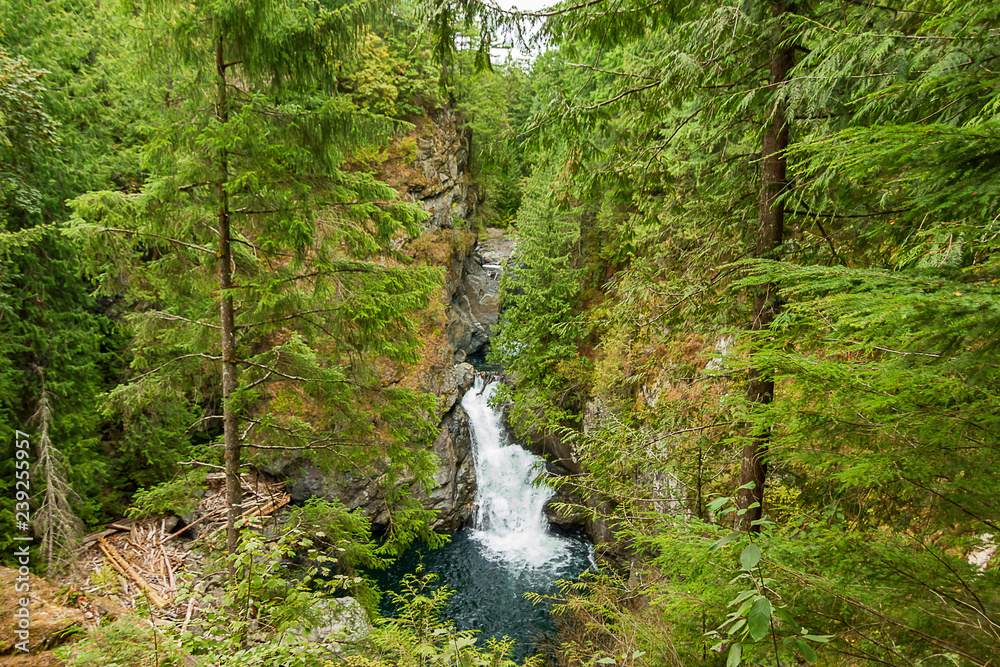 small waterfall shot from high up on forest overlook small waterfall shot from high up on forest overlook