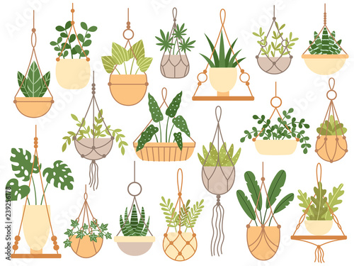 Plants in hanging pots. Decorative macrame handmade hangers for flower pot, hang indoor plants isolated vector set